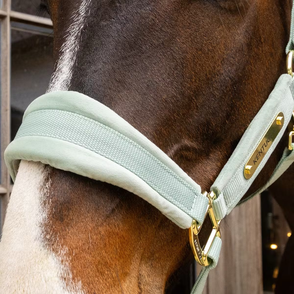 Kentucky Velvet Halter - Løwenborg - Kentucky Horsewear