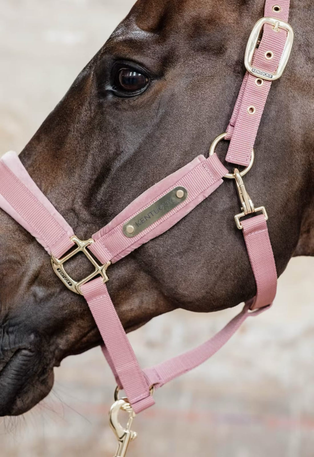 Kentucky Velvet Halter - Løwenborg - Kentucky Horsewear