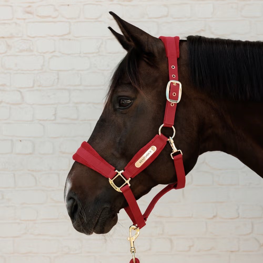 Kentucky Velvet Halter - Løwenborg - Kentucky Horsewear