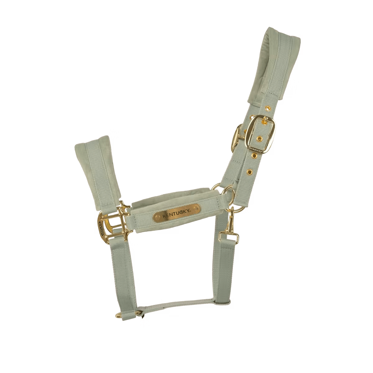 Kentucky Velvet Halter