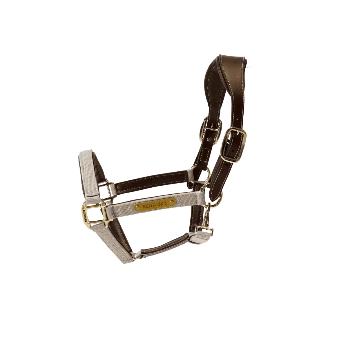 Kentucky Nylon Anatomic Halter