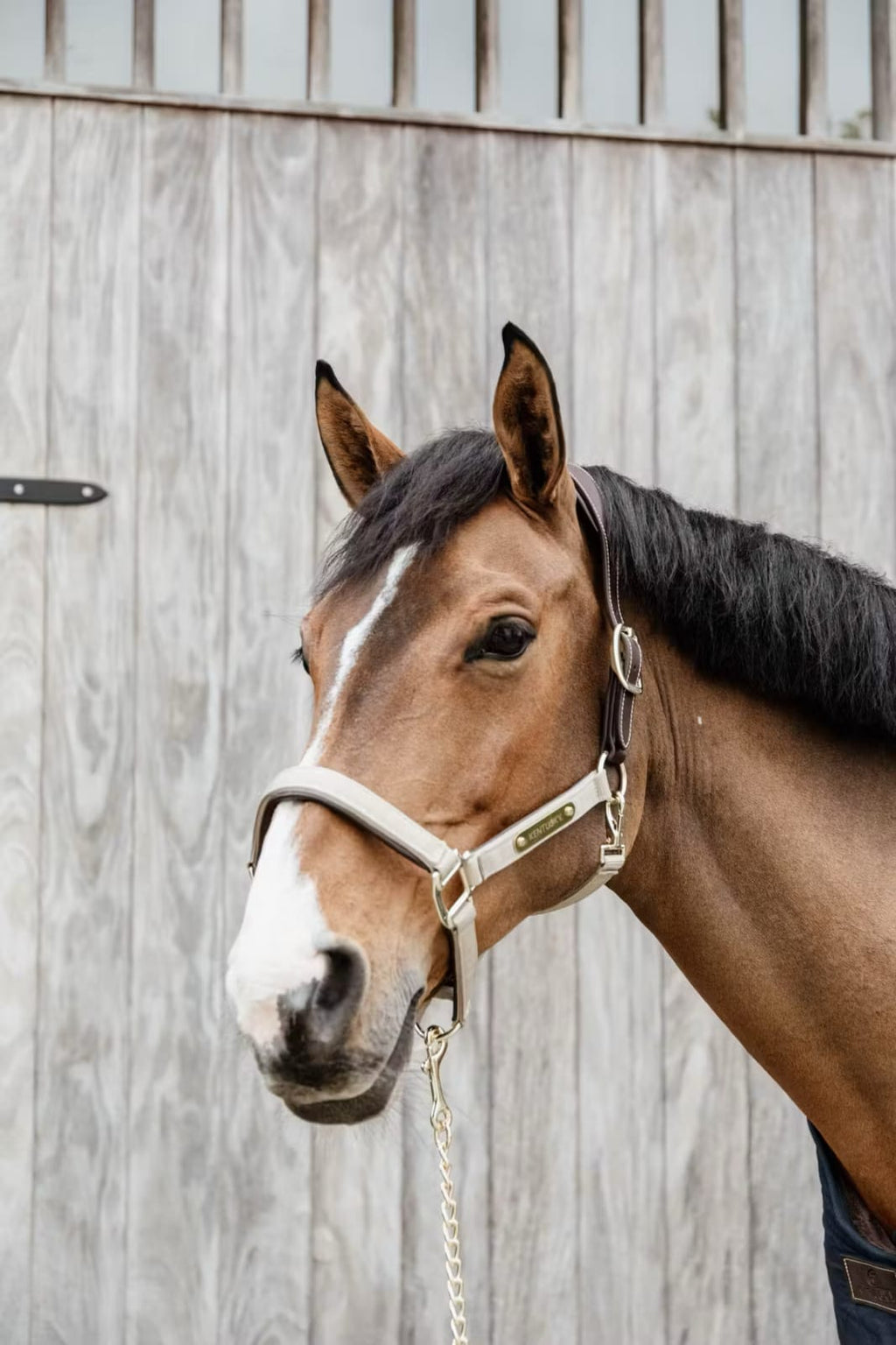 Kentucky Nylon Anatomic Halter - Løwenborg - Kentucky Horsewear