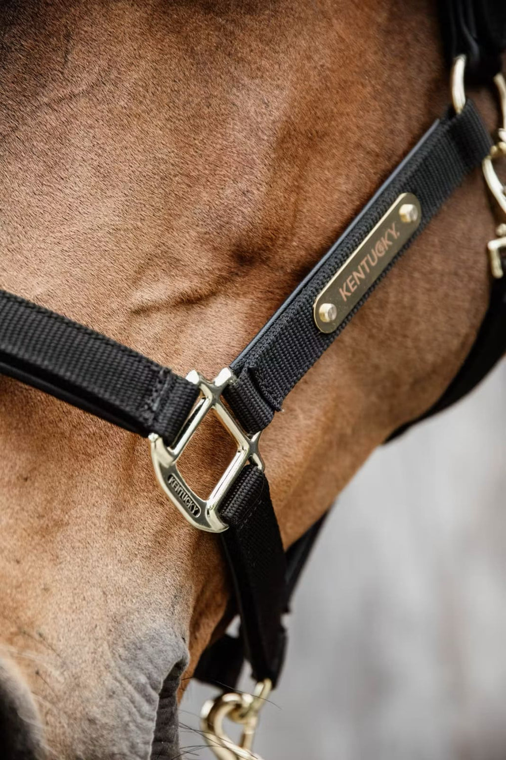 Kentucky Nylon Anatomic Halter - Løwenborg - Kentucky Horsewear