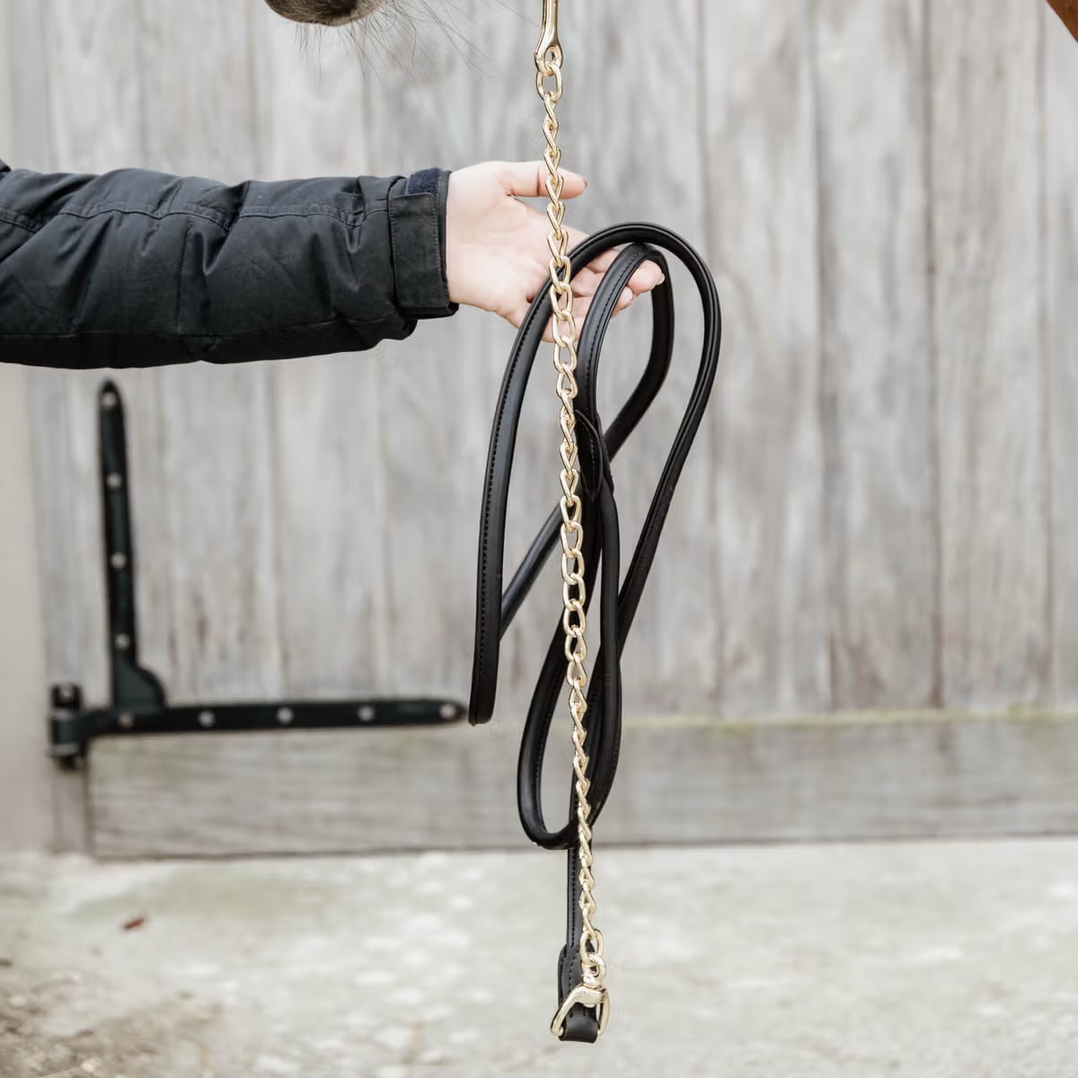 Kentucky Leather Chain Lead