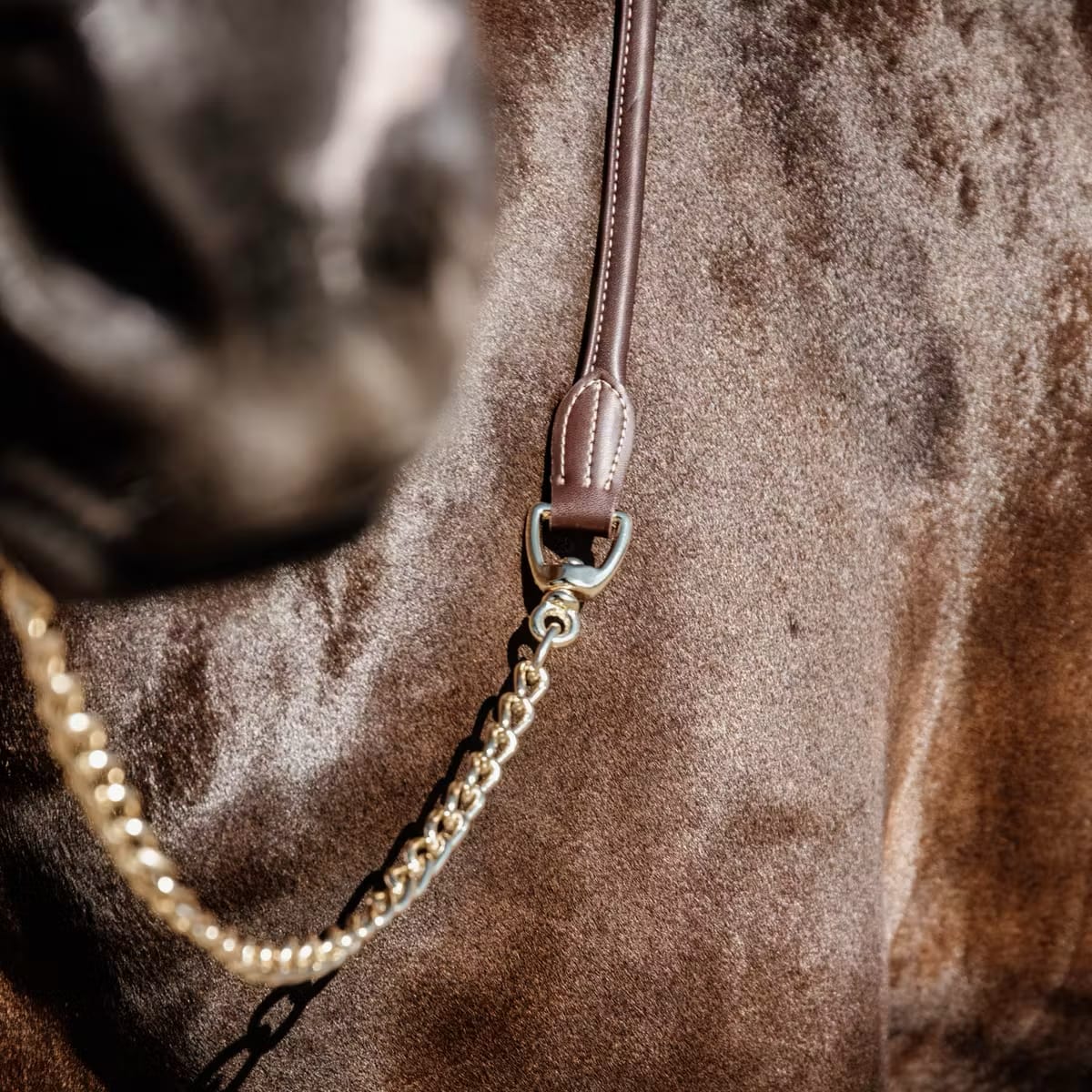 Kentucky Leather Chain Lead