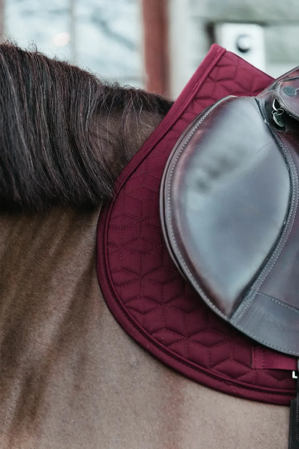Kentucky Saddle Pad Classic Jumping - Løwenborg - Kentucky Horsewear