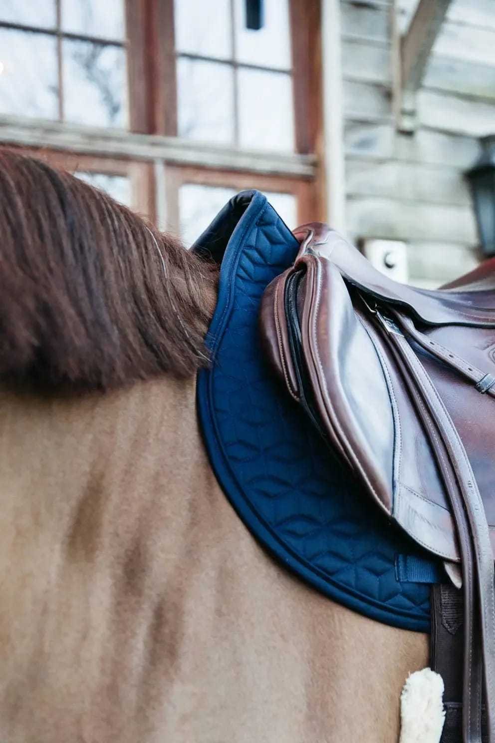 Kentucky Saddle Pad Classic Jumping - Løwenborg - Kentucky Horsewear