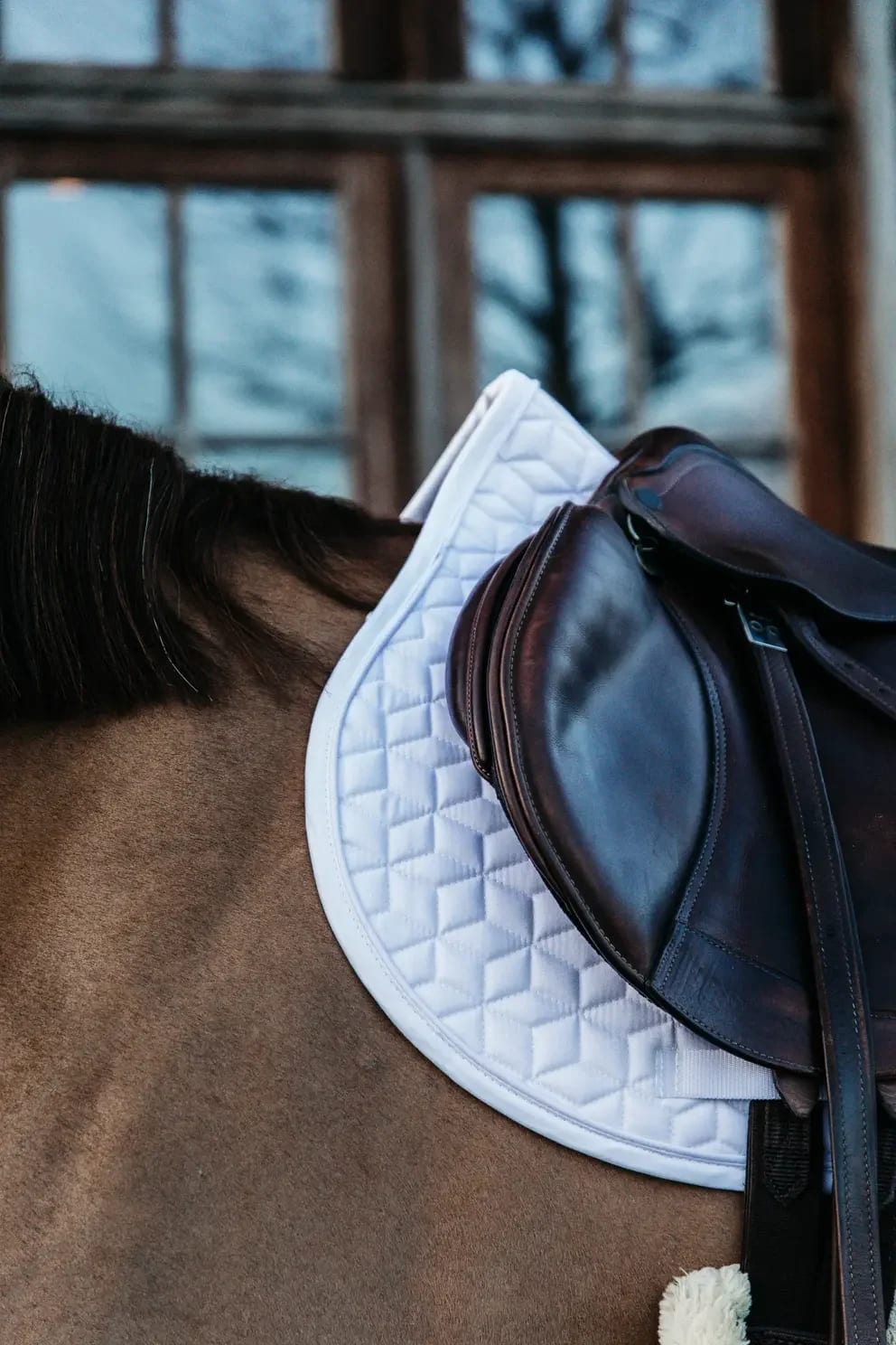 Kentucky Saddle Pad Classic Jumping - Løwenborg - Kentucky Horsewear