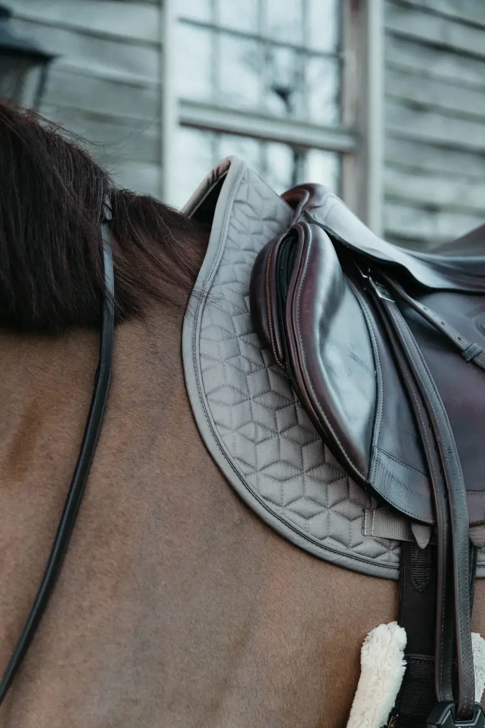 Kentucky Saddle Pad Classic Jumping - Løwenborg - Kentucky Horsewear