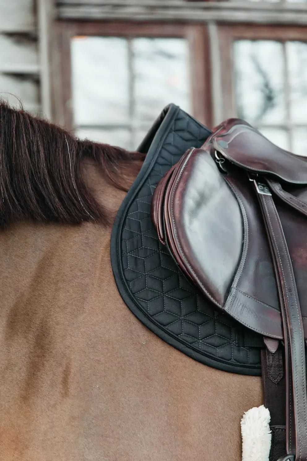 Kentucky Saddle Pad Classic Jumping - Løwenborg - Kentucky Horsewear