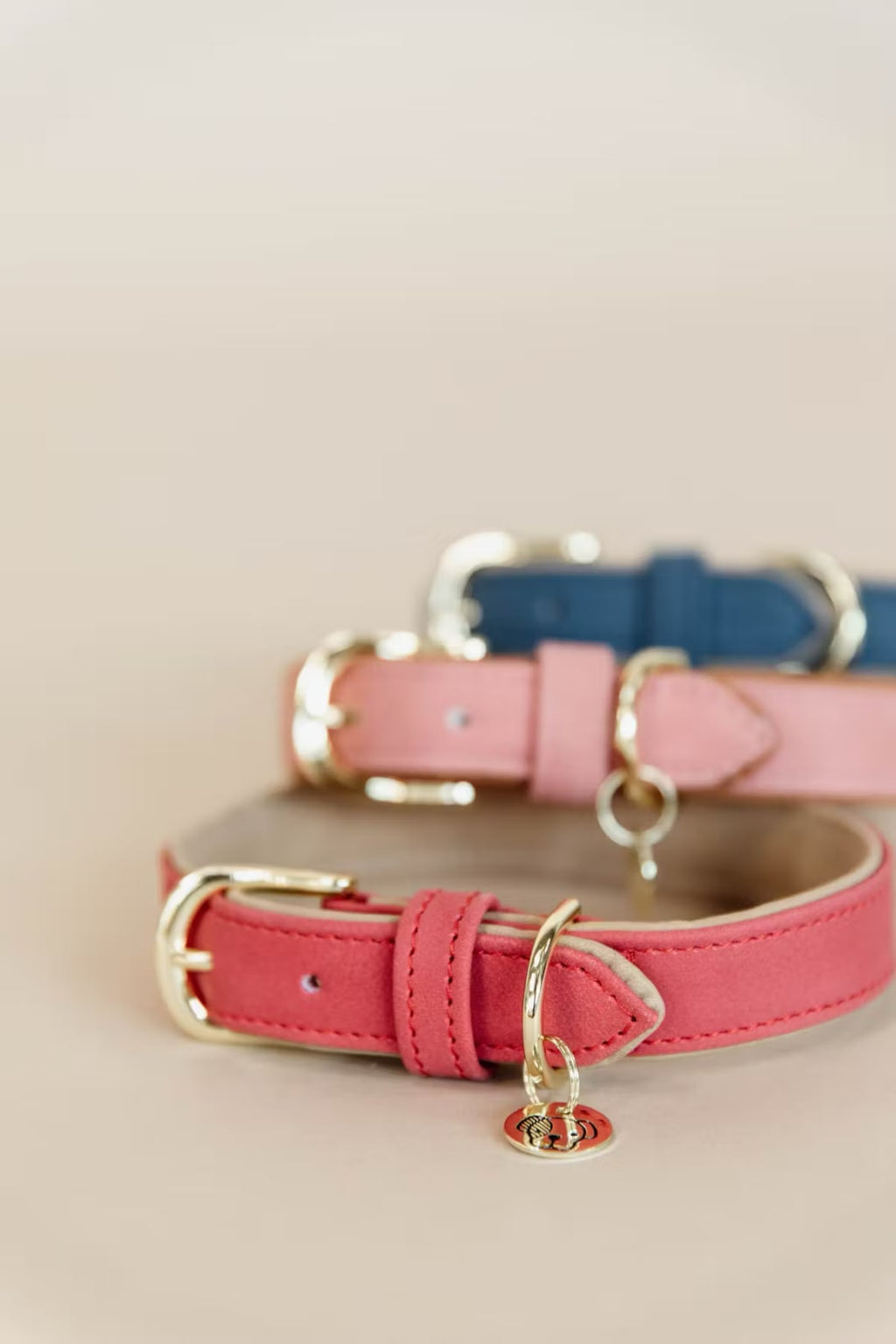 Kentucky Dog Collar Vegan Leather