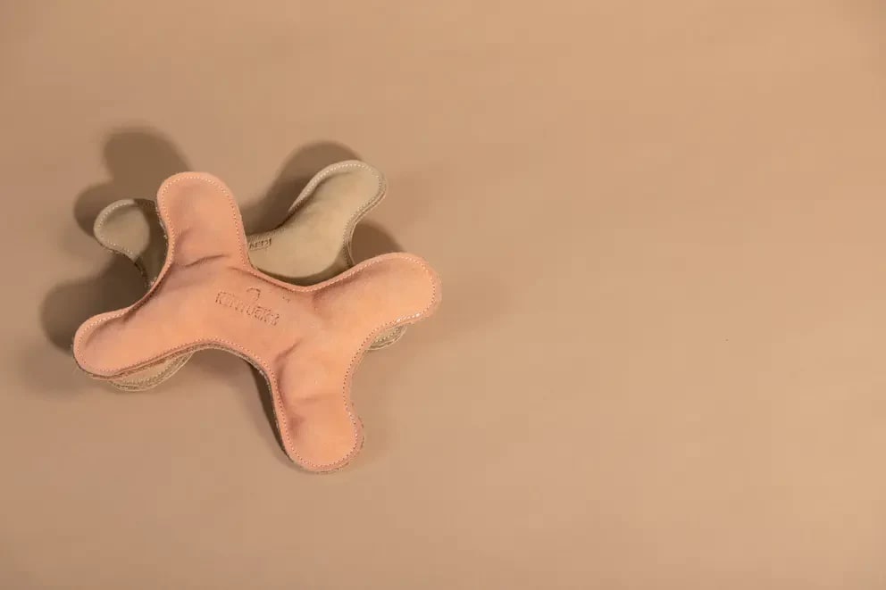 Kentucky Dog Toy Pastel Bone