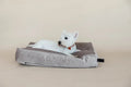 Kentucky Dog Bed Pillow Velvet - Løwenborg - Kentucky Dogwear