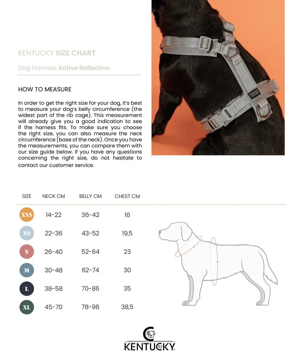 Kentucky Dog Harness Active Reflectiv - Løwenborg - Kentucky Dogwear