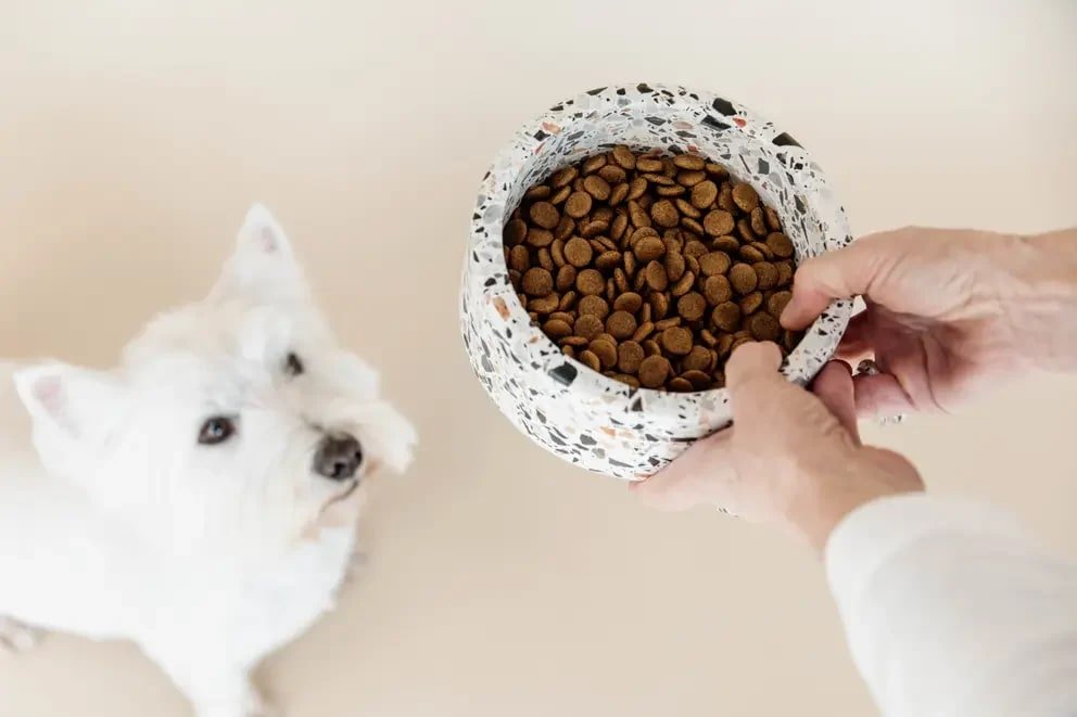Kentucky Dog Bowl Terrazzo Stone - Løwenborg - Kentucky Dogwear