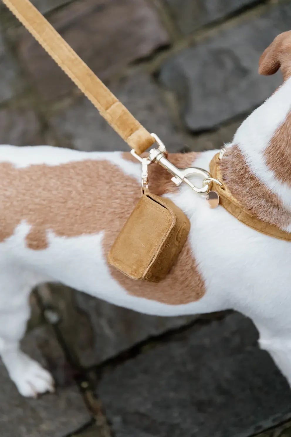Kentucky Dog Pooh Bag Square Velvet - Løwenborg - Kentucky Dogwear