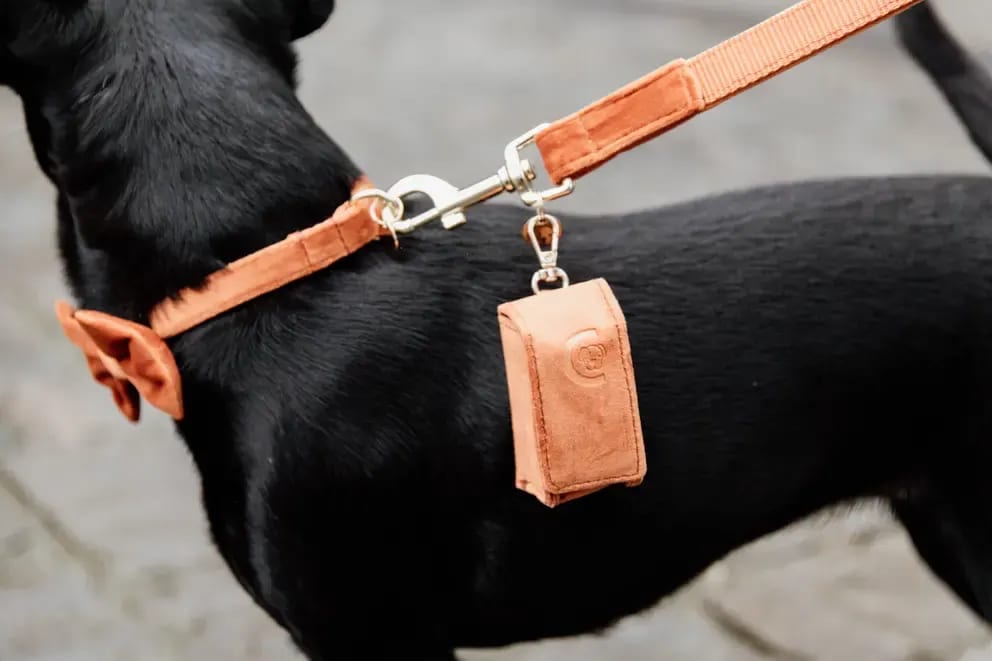 Kentucky Dog Pooh Bag Square Velvet - Løwenborg - Kentucky Dogwear