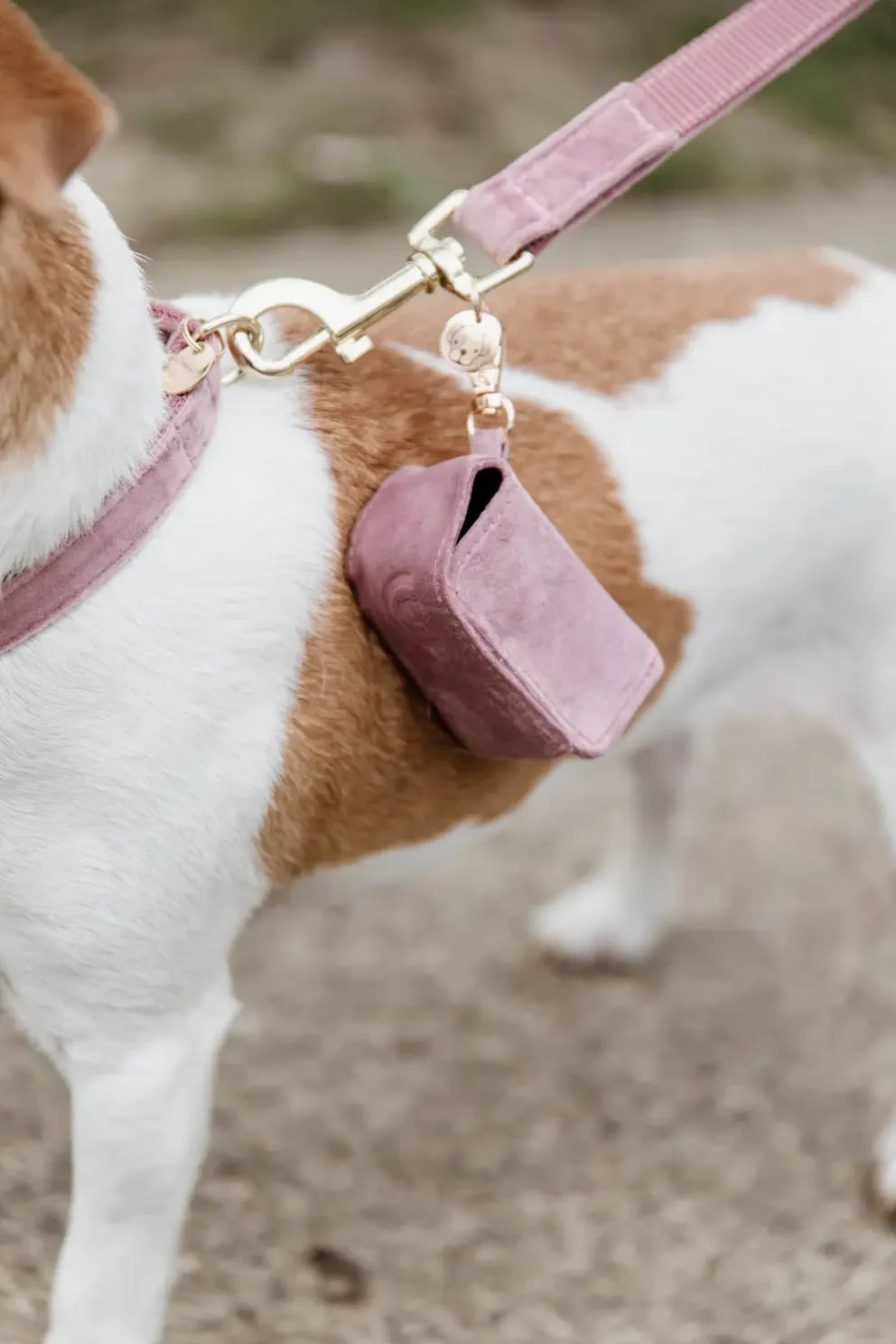 Kentucky Dog Pooh Bag Square Velvet - Løwenborg - Kentucky Dogwear