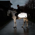 Kentucky Riding Rug Reflective - Løwenborg - Kentucky Horsewear