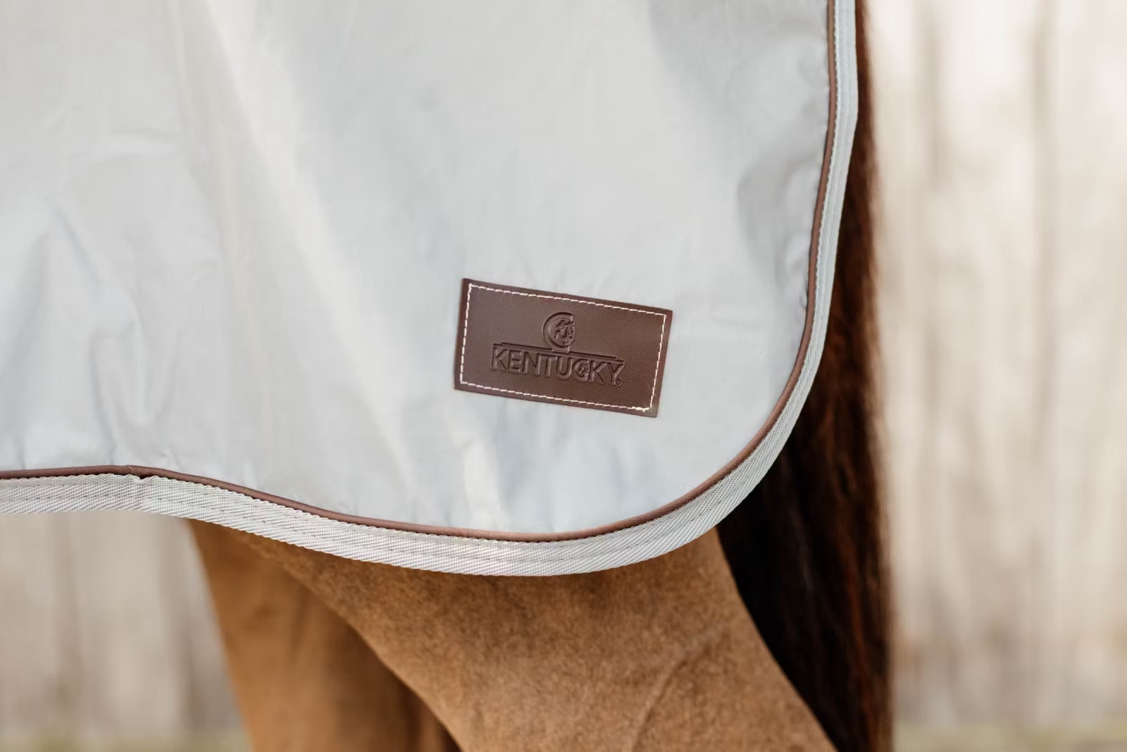 Kentucky Quarter Rug Reflective