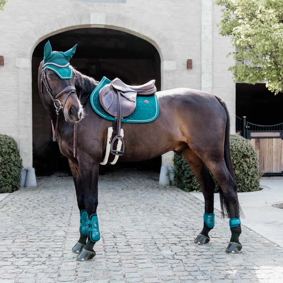 Kentucky Tendon Boots Bamboo Elastic - Løwenborg - Kentucky Horsewear