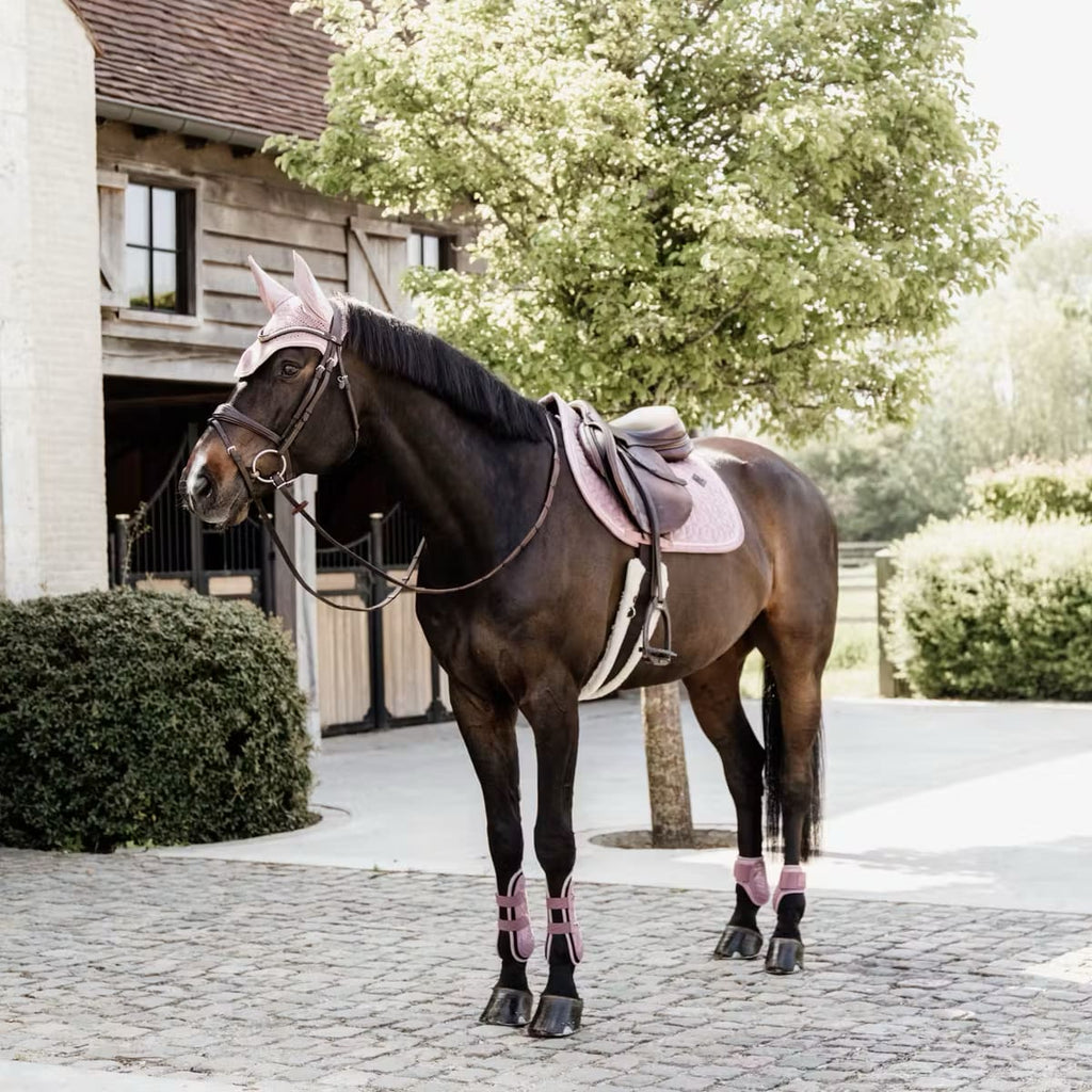 Kentucky Tendon Boots Bamboo Elastic - Løwenborg - Kentucky Horsewear
