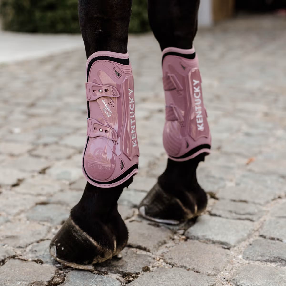 Kentucky Tendon Boots Bamboo Elastic - Løwenborg - Kentucky Horsewear