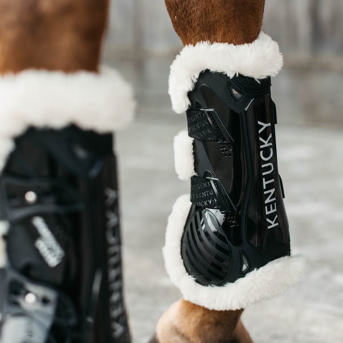 Kentucky Vegan Sheepskin Tendon Boots Bamboo Elastic - Løwenborg - Kentucky Horsewear