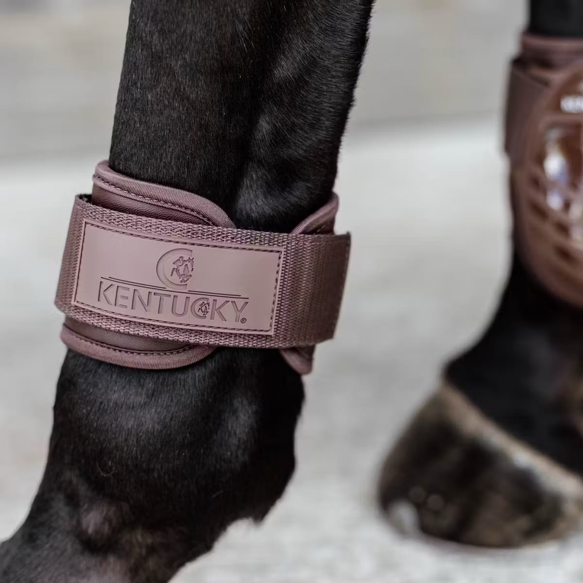 Kentucky Young Horse Fetlock Boots - Løwenborg - Kentucky Horsewear