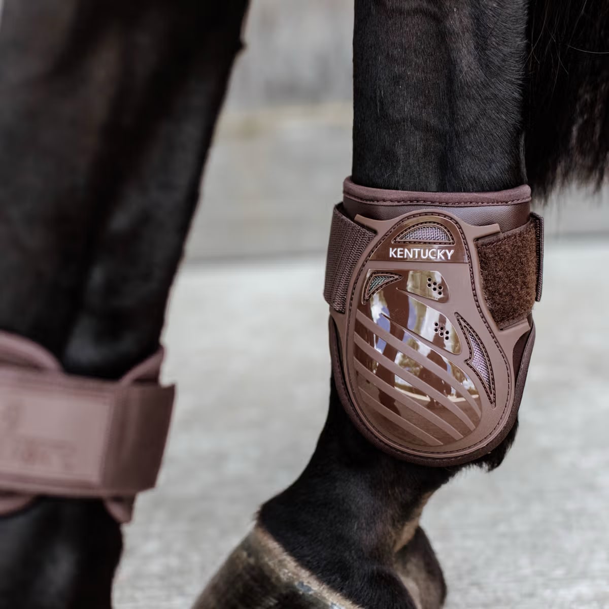 Kentucky Young Horse Fetlock Boots - Løwenborg - Kentucky Horsewear