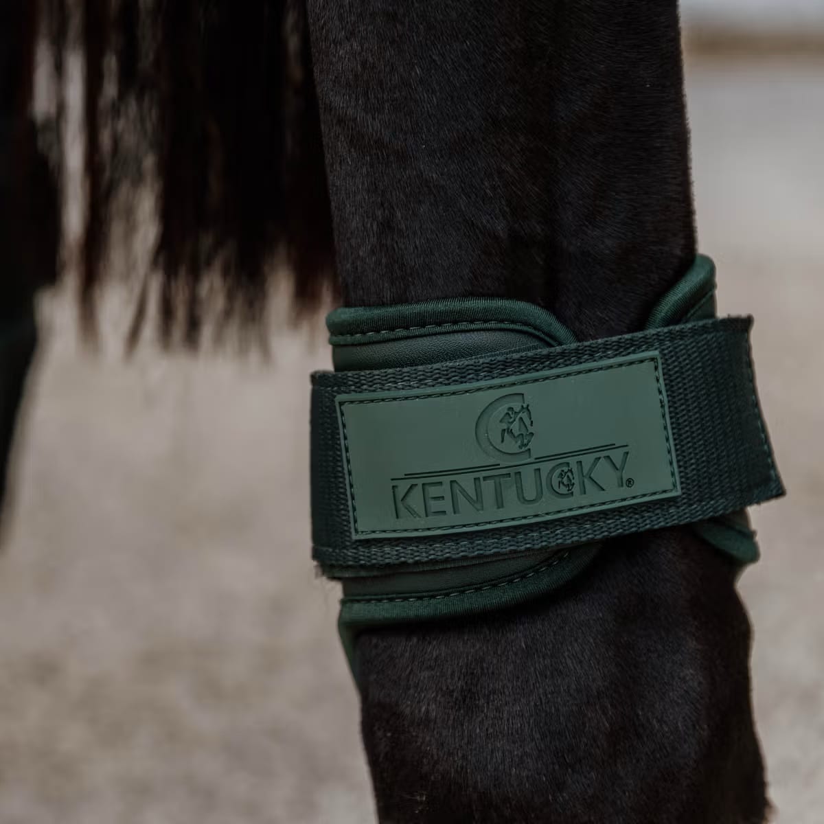 Kentucky Young Horse Fetlock Boots - Løwenborg - Kentucky Horsewear