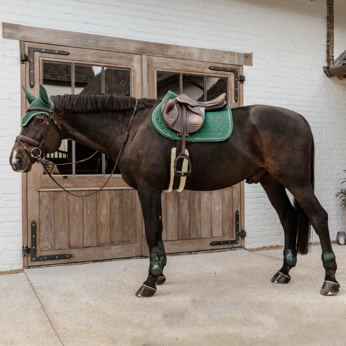 Kentucky Young Horse Fetlock Boots - Løwenborg - Kentucky Horsewear