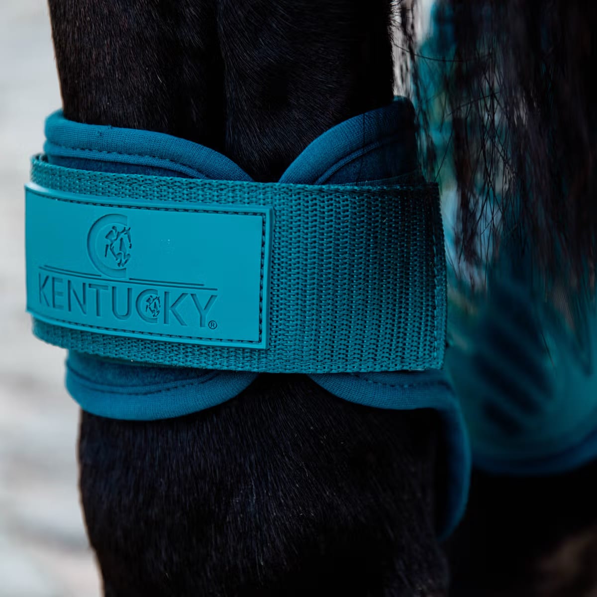 Kentucky Young Horse Fetlock Boots - Løwenborg - Kentucky Horsewear