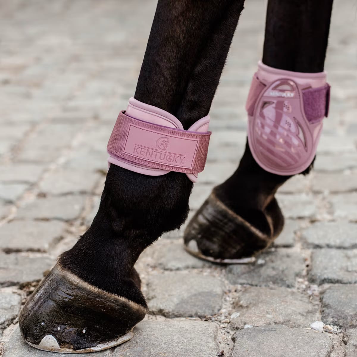 Kentucky Young Horse Fetlock Boots - Løwenborg - Kentucky Horsewear