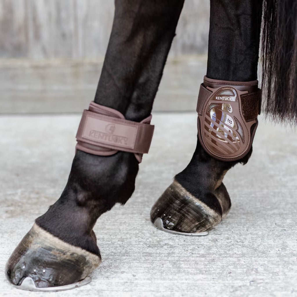 Kentucky Young Horse Fetlock Boots - Løwenborg - Kentucky Horsewear