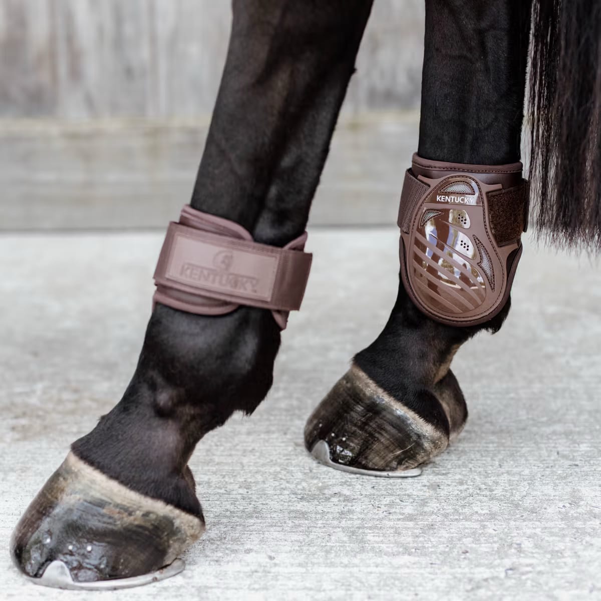 Kentucky Young Horse Fetlock Boots - Løwenborg - Kentucky Horsewear