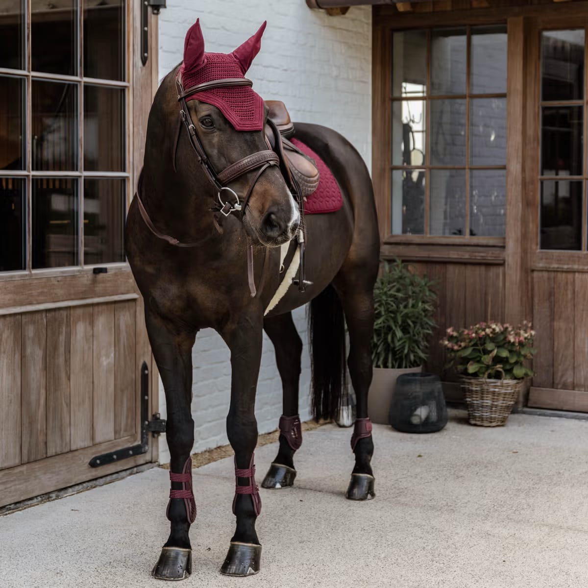 Kentucky Young Horse Fetlock Boots - Løwenborg - Kentucky Horsewear