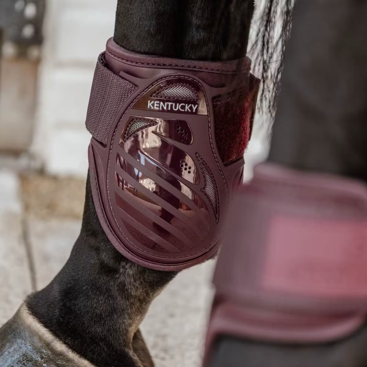 Kentucky Young Horse Fetlock Boots - Løwenborg - Kentucky Horsewear