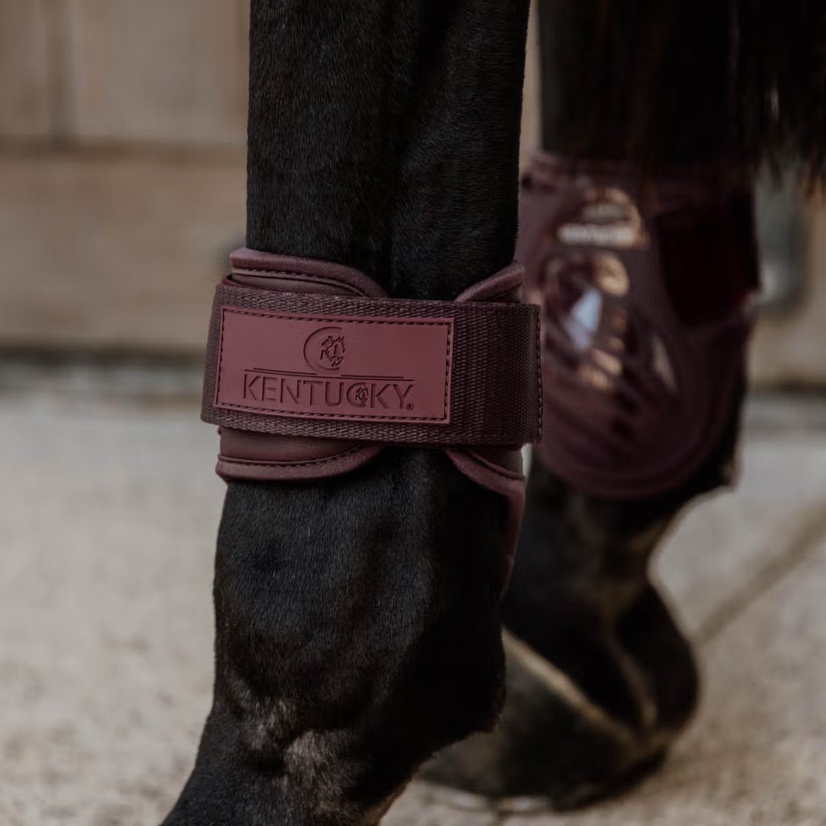 Kentucky Young Horse Fetlock Boots - Løwenborg - Kentucky Horsewear