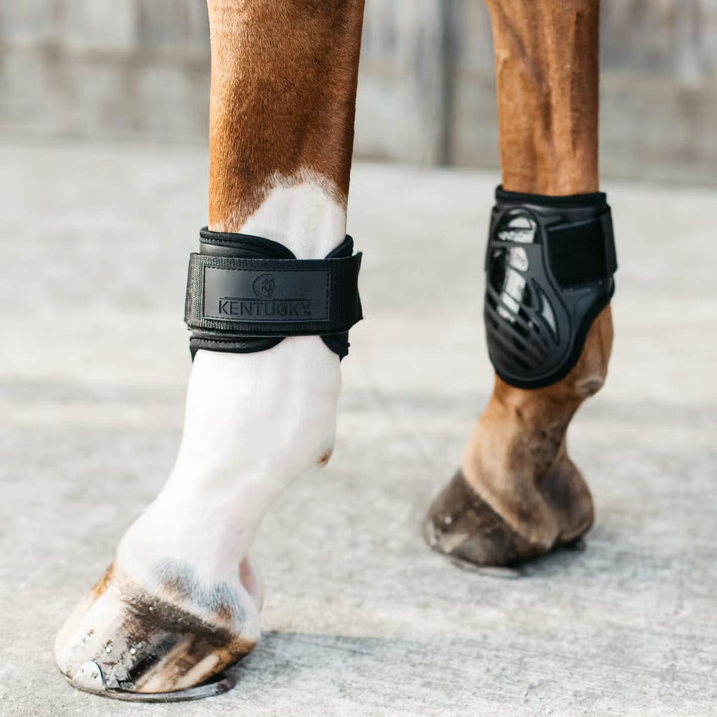 Kentucky Young Horse Fetlock Boots - Løwenborg - Kentucky Horsewear