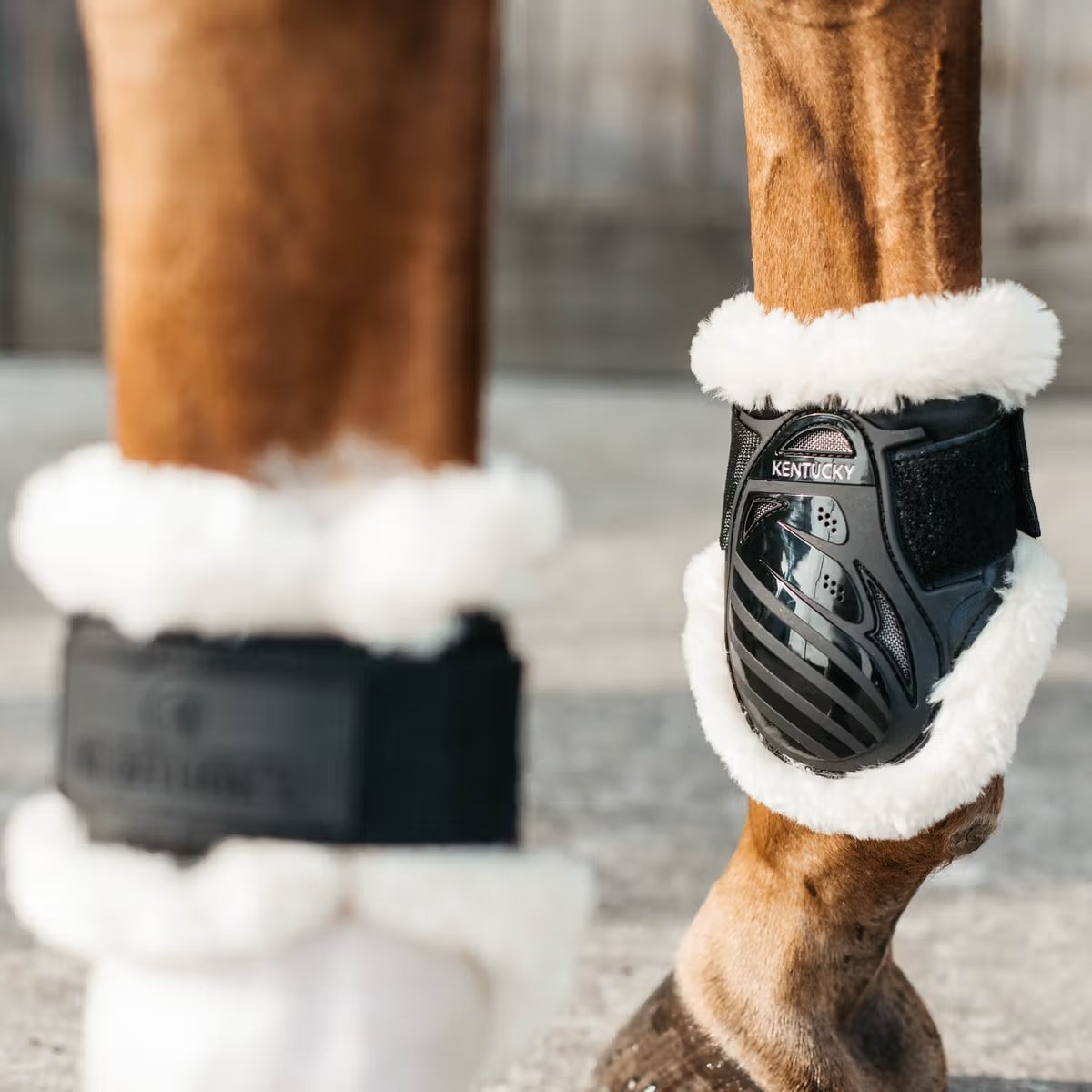 Kentucky Vegan Sheepskin Young Horse Fetlock Boots - Løwenborg - Kentucky Horsewear