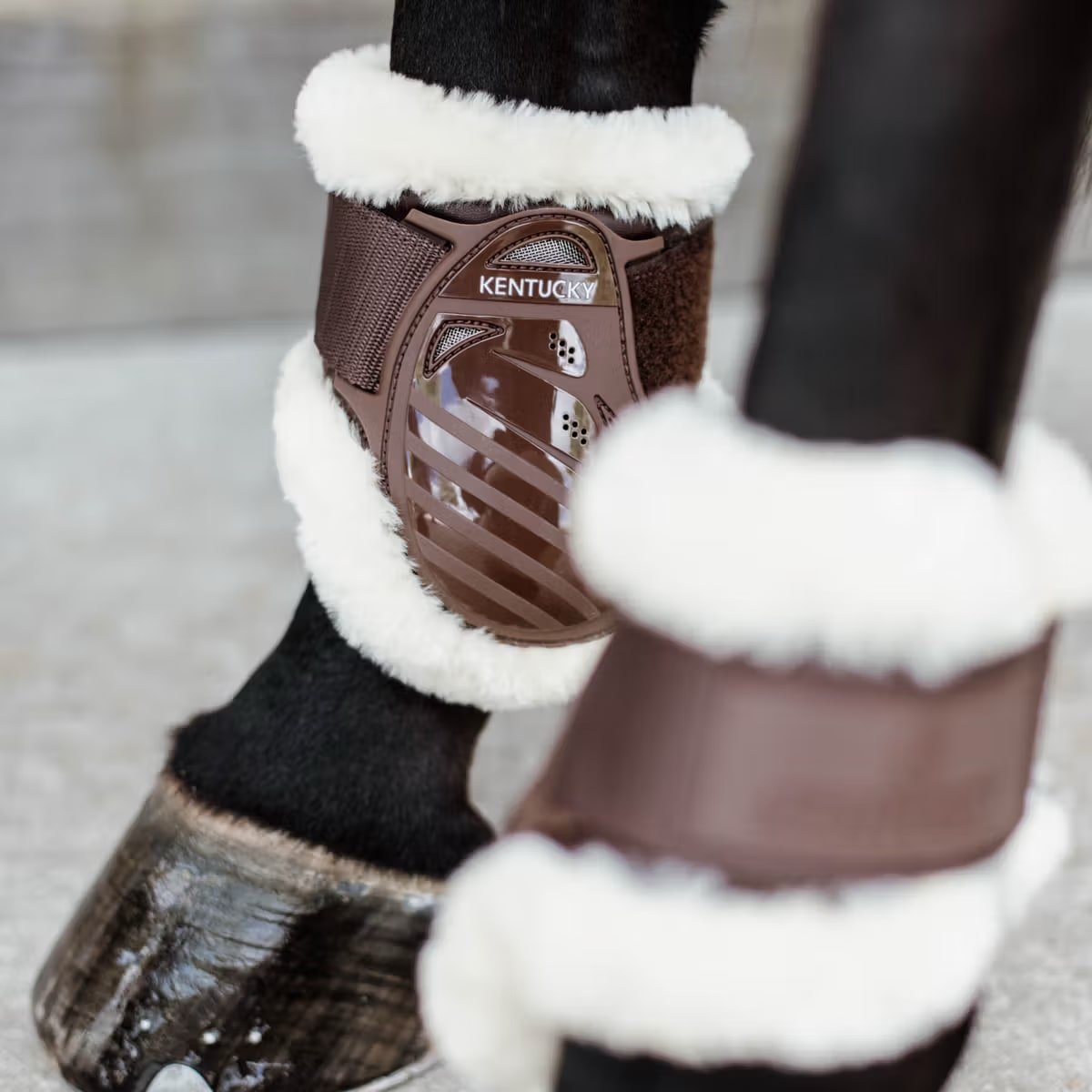 Kentucky Vegan Sheepskin Young Horse Fetlock Boots - Løwenborg - Kentucky Horsewear