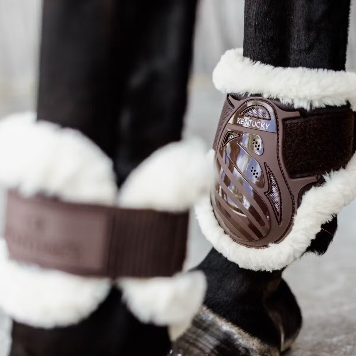 Kentucky Vegan Sheepskin Young Horse Fetlock Boots - Løwenborg - Kentucky Horsewear