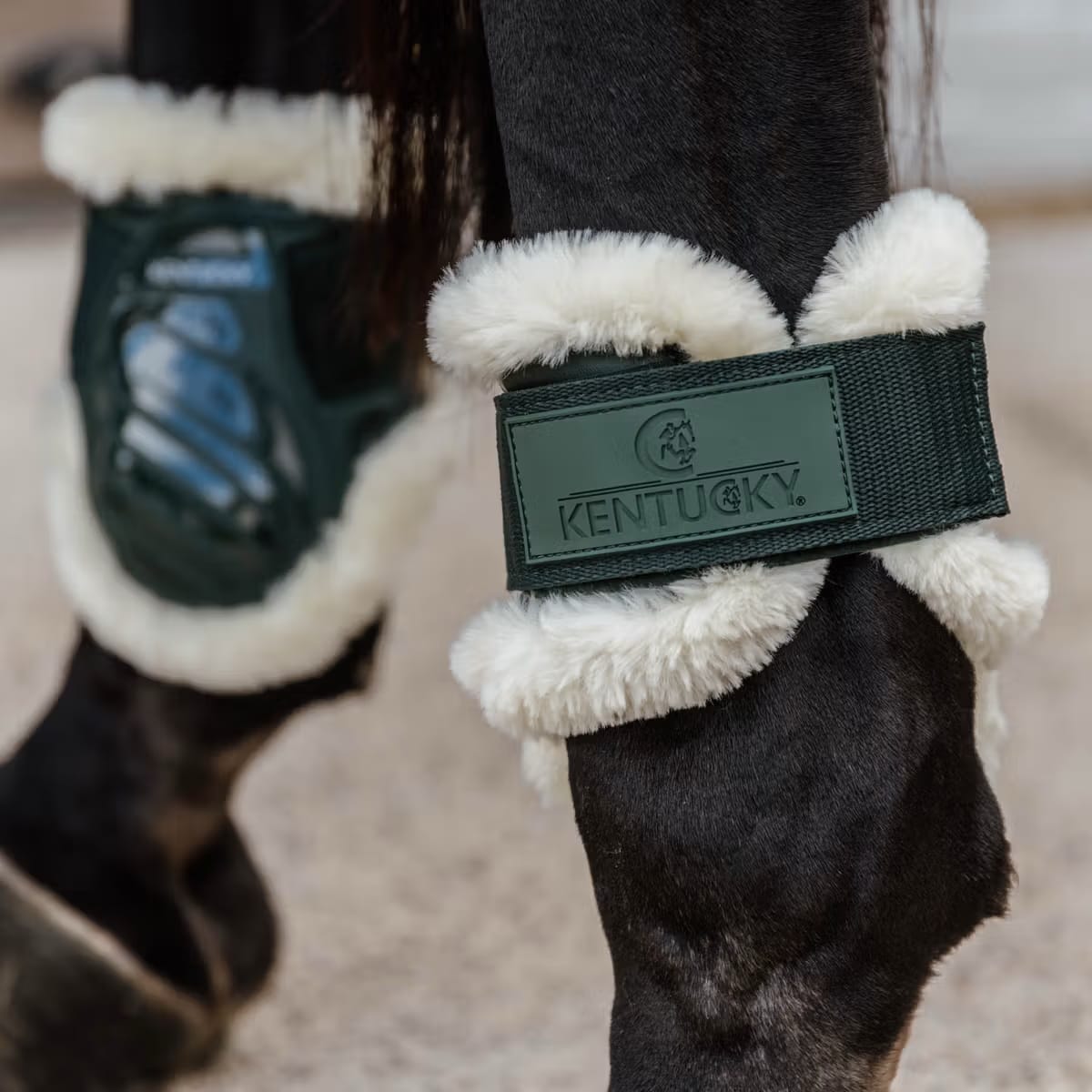 Kentucky Vegan Sheepskin Young Horse Fetlock Boots - Løwenborg - Kentucky Horsewear
