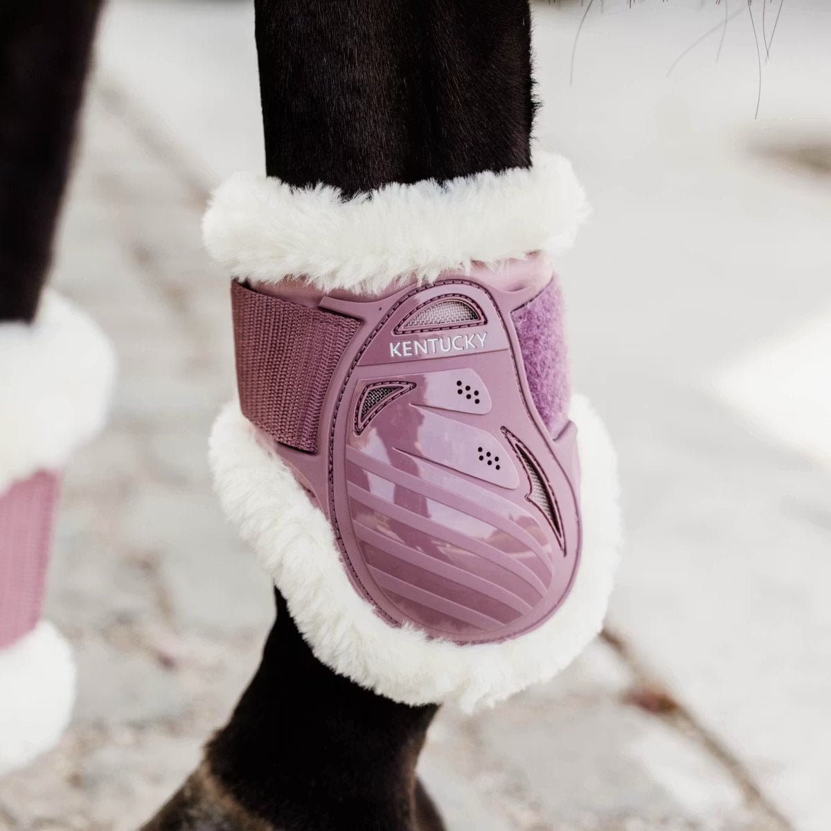 Kentucky Vegan Sheepskin Young Horse Fetlock Boots - Løwenborg - Kentucky Horsewear
