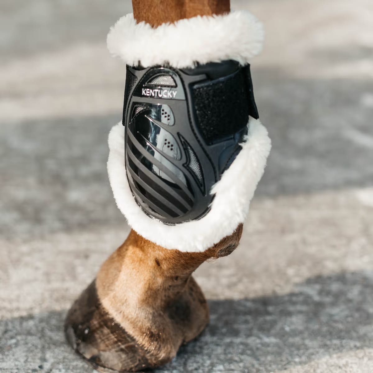 Kentucky Vegan Sheepskin Young Horse Fetlock Boots - Løwenborg - Kentucky Horsewear