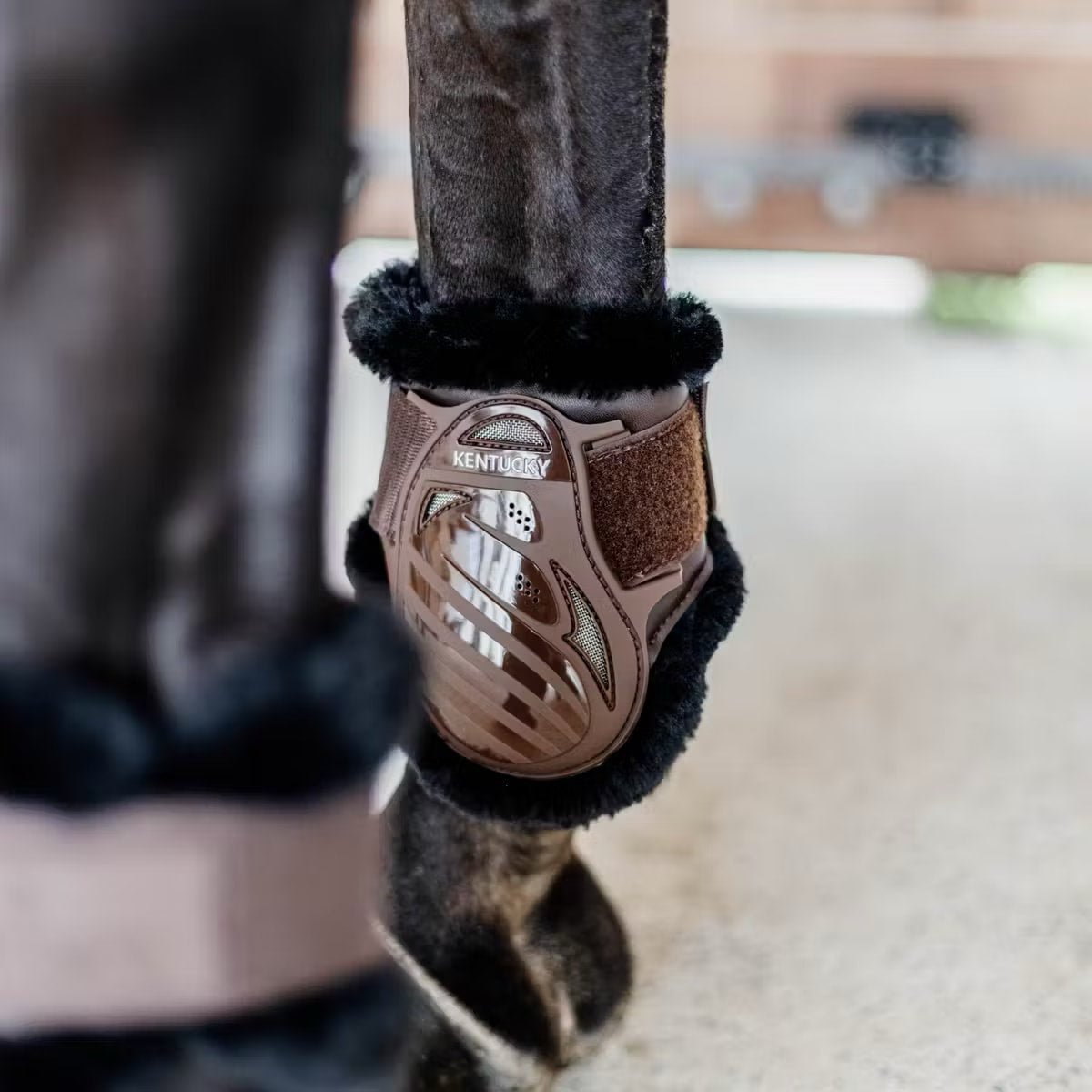 Kentucky Vegan Sheepskin Young Horse Fetlock Boots - Løwenborg - Kentucky Horsewear
