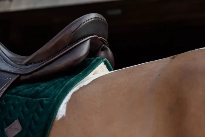Kentucky Skin Friendly Saddle Pad Velvet Dressage - Løwenborg - Kentucky Horsewear