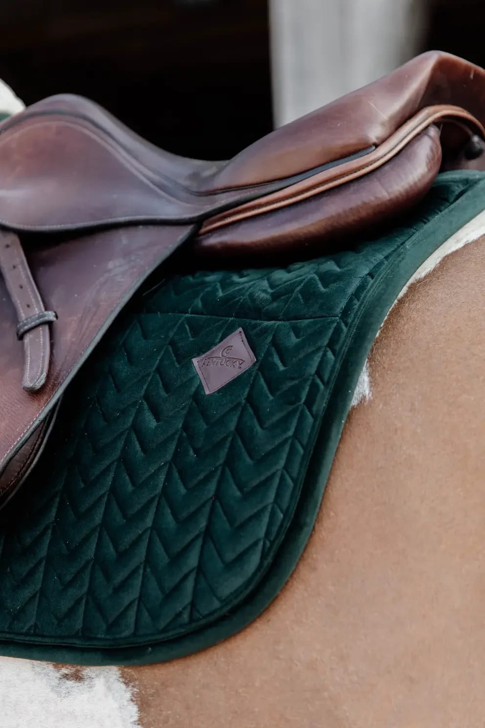 Kentucky Skin Friendly Saddle Pad Velvet Jumping - Løwenborg - Kentucky Horsewear