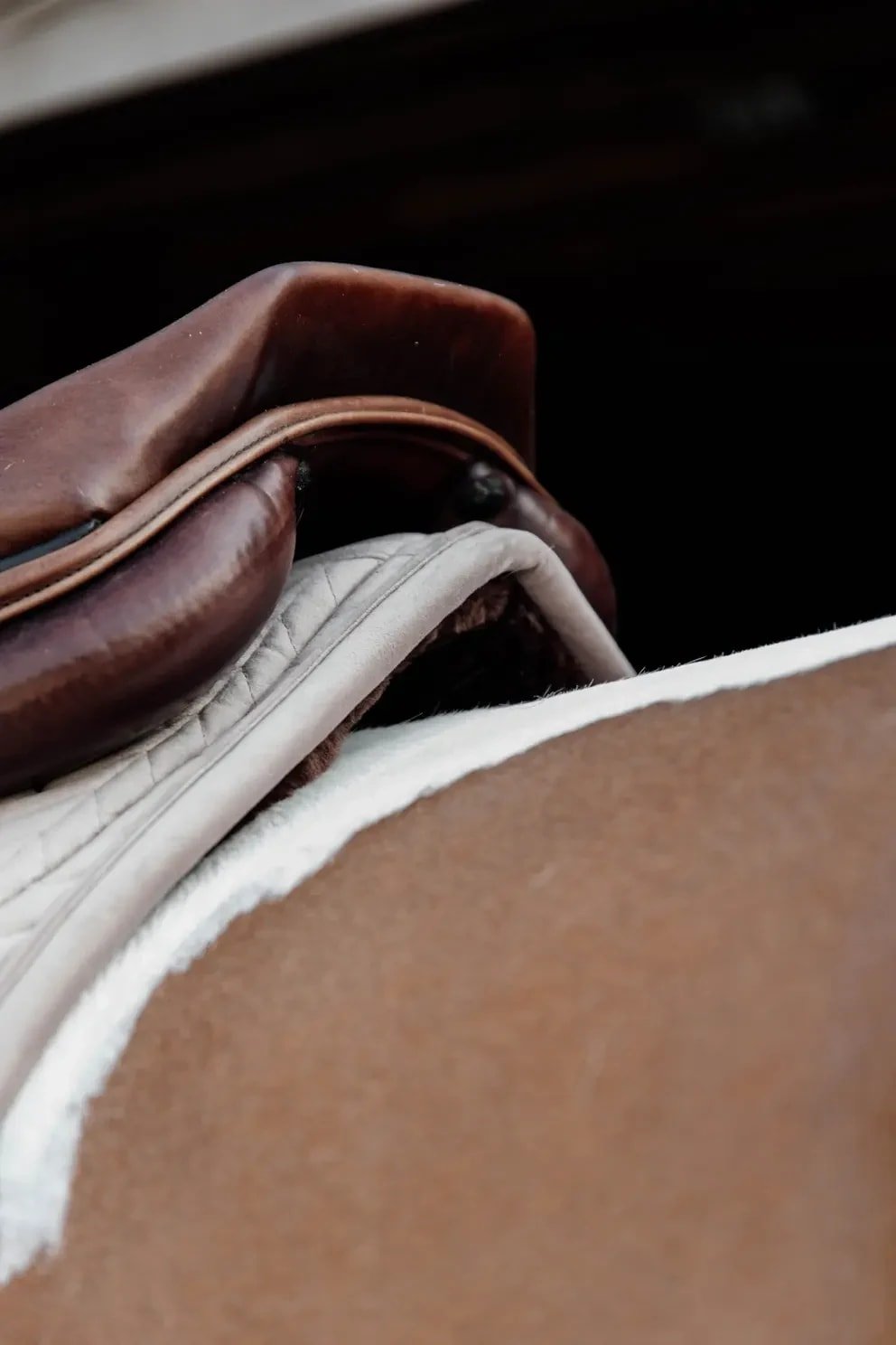 Kentucky Skin Friendly Saddle Pad Velvet Jumping - Løwenborg - Kentucky Horsewear